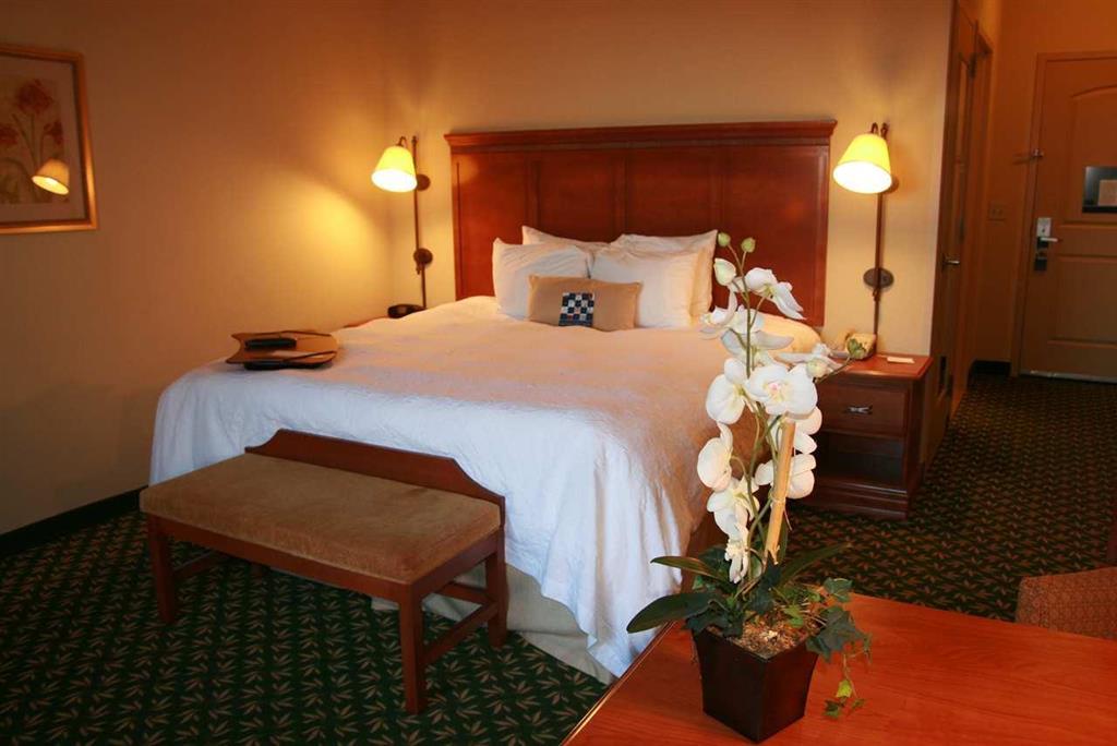 Newly Renovated Hampton Inn Omaha West Lakeside Værelse billede