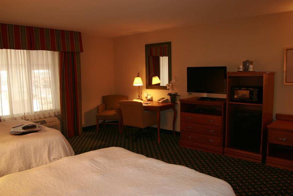 Newly Renovated Hampton Inn Omaha West Lakeside Værelse billede