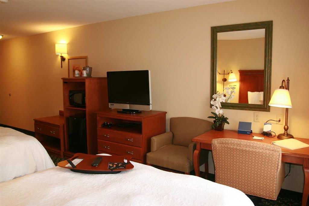 Newly Renovated Hampton Inn Omaha West Lakeside Værelse billede