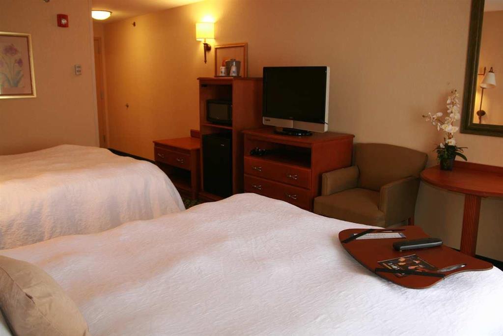 Newly Renovated Hampton Inn Omaha West Lakeside Værelse billede