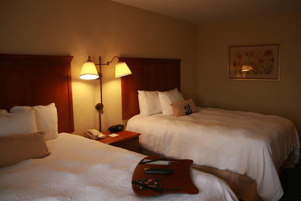 Newly Renovated Hampton Inn Omaha West Lakeside Værelse billede